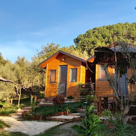 Bujtina Musta ξενώνας Μπεράτ Εξωτερικό φωτογραφία